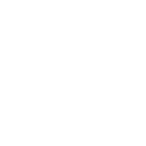 QCi logo white